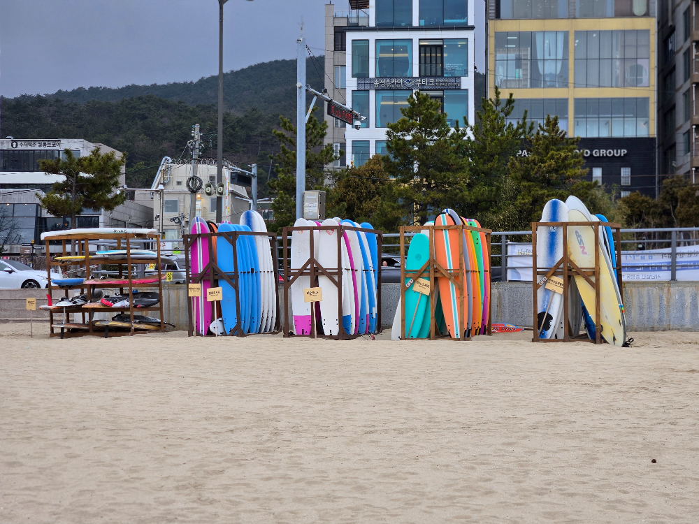 송정해수욕장 서핑보드 &ndash; 해변에 정렬된 서핑 장비