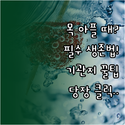 기관지 약한 사람을 위한 환절기 대응..