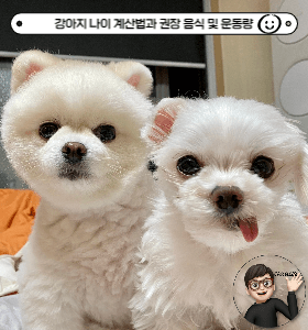 강아지