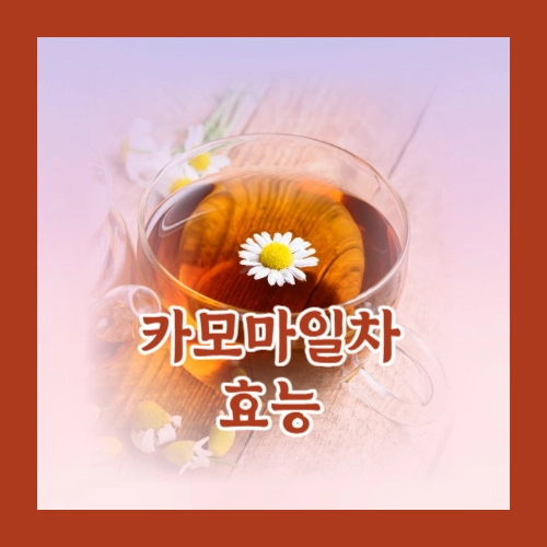 카모마일차효능