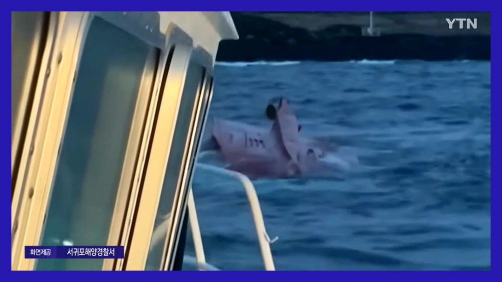 서귀포-어선-전복