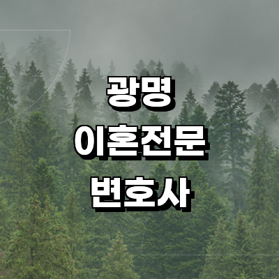 광명시 이혼 변호사