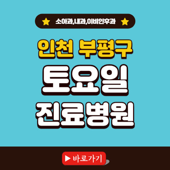 인천 부평구 토요일 진료 병원 찾기 ❘ 주말 문여는 소아과, 내과, 이비인후과 리스트