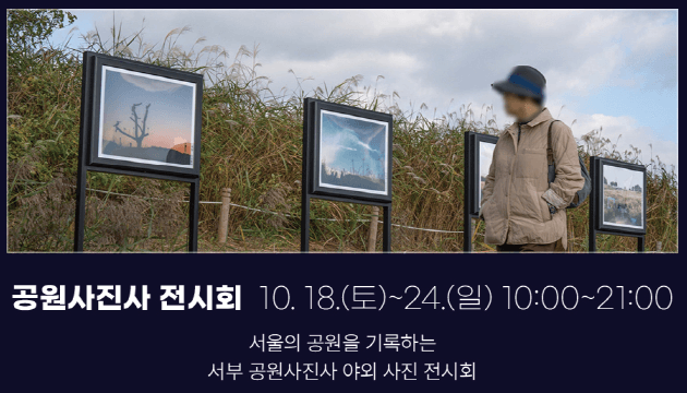 가을 감성 폭발! 제24회 서울억새축제 일정&middot;볼거리&middot;야경 포인트 정리