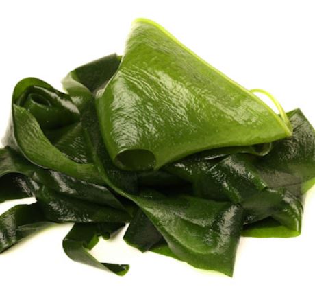 요오드가 많은 음식