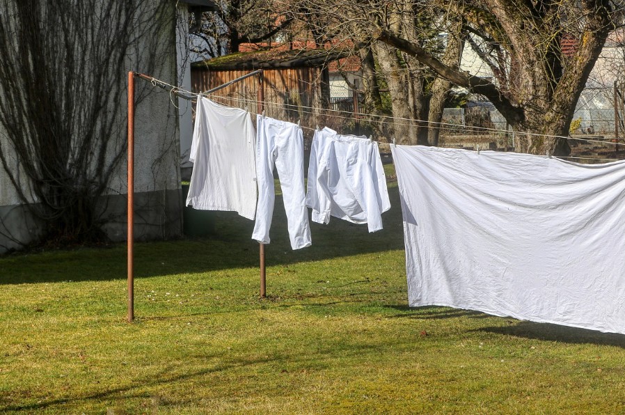 디지털 노마드 현시 세탁관련 사진