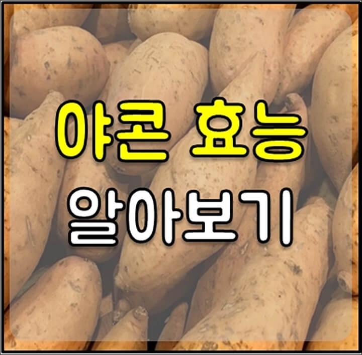 야콘 효능 썸네일