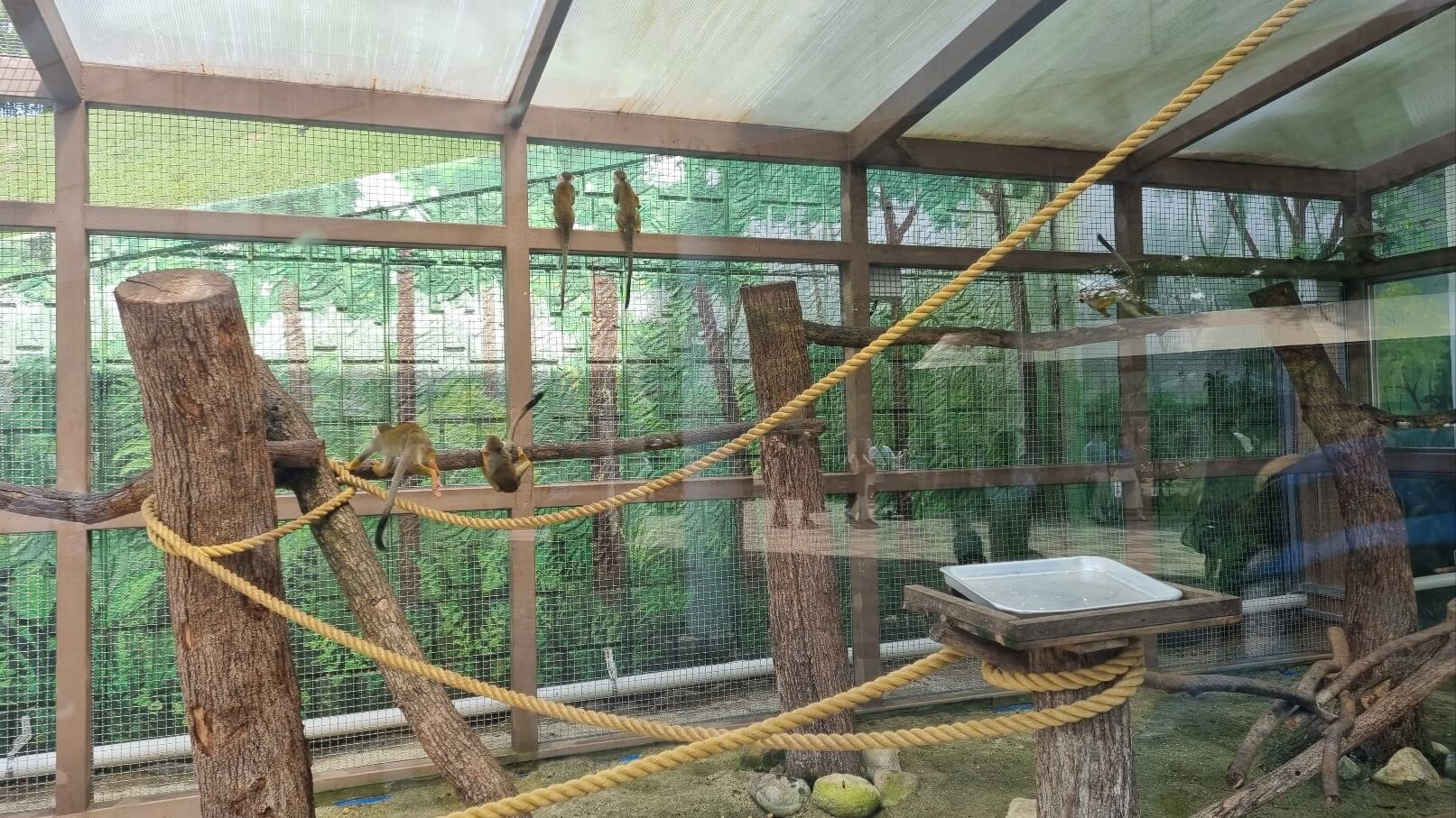 순천만국가정원 서문 동물원