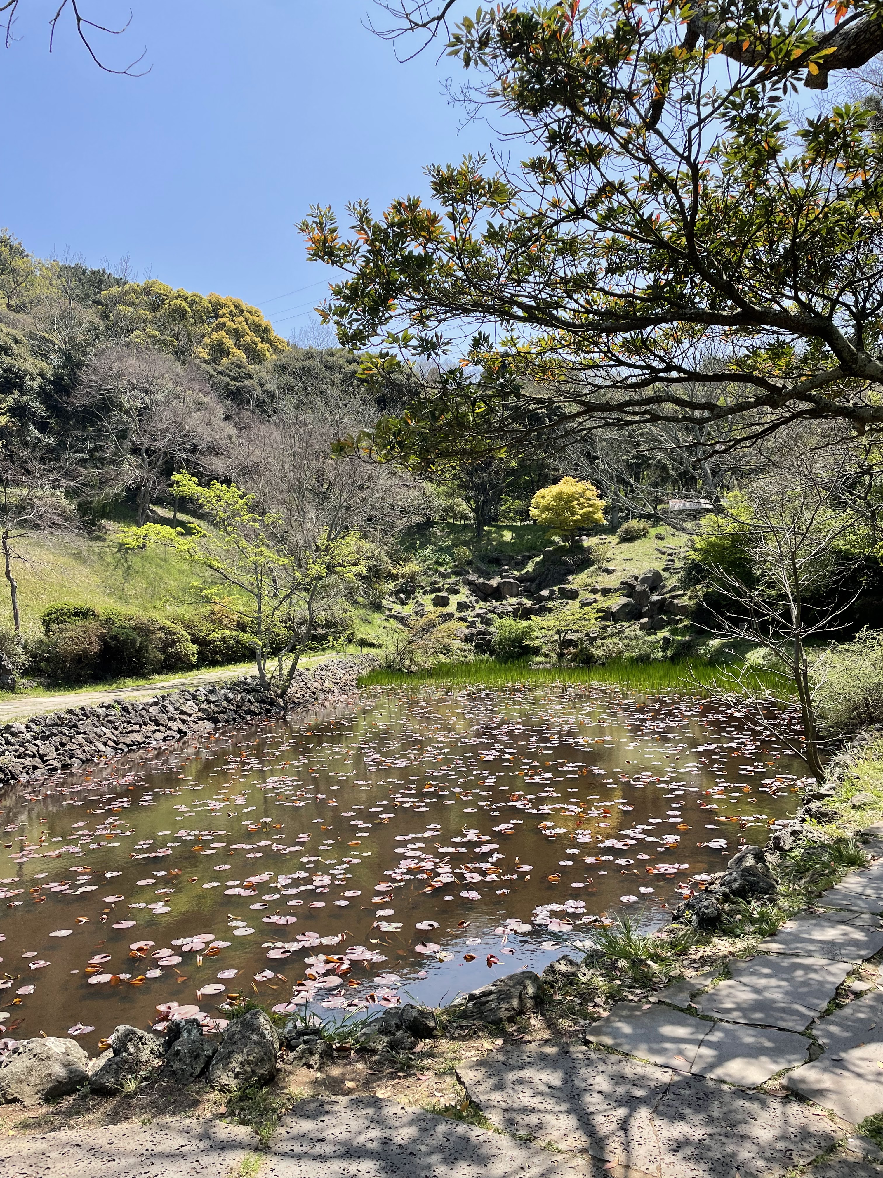 한라수목원