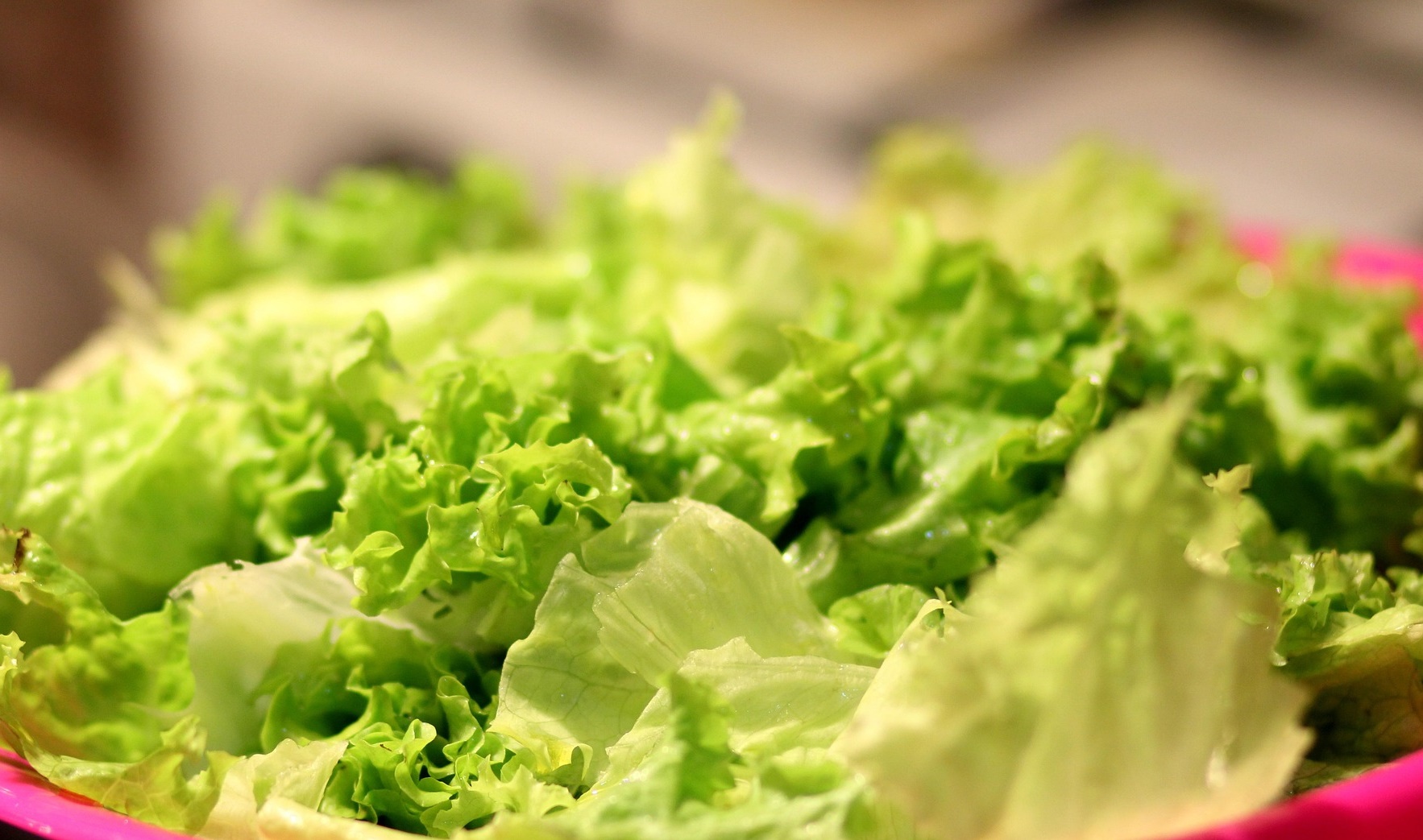 베란다 식물 집사 급증! 대파&middot;상추 집에서 키워 &amp;#39;무지출 챌린지&amp;#39; 도전하기