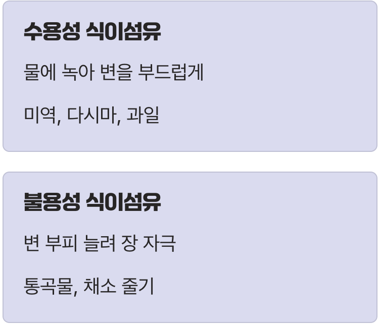 뱃속의 신호등, 똑똑한 식이섬유 섭취
