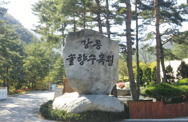 솔향수목원