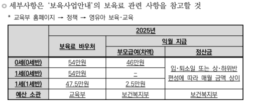 2025년 부모급여 지원방식 완전비교 : 장단점과 활용법까지