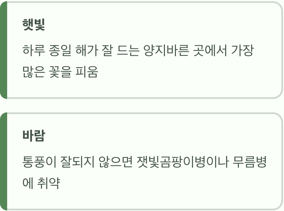 햇빛과 바람, 최고의 보약