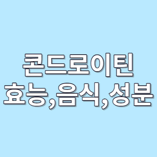 콘드로이틴효능&#44;음식&#44;성분 글자