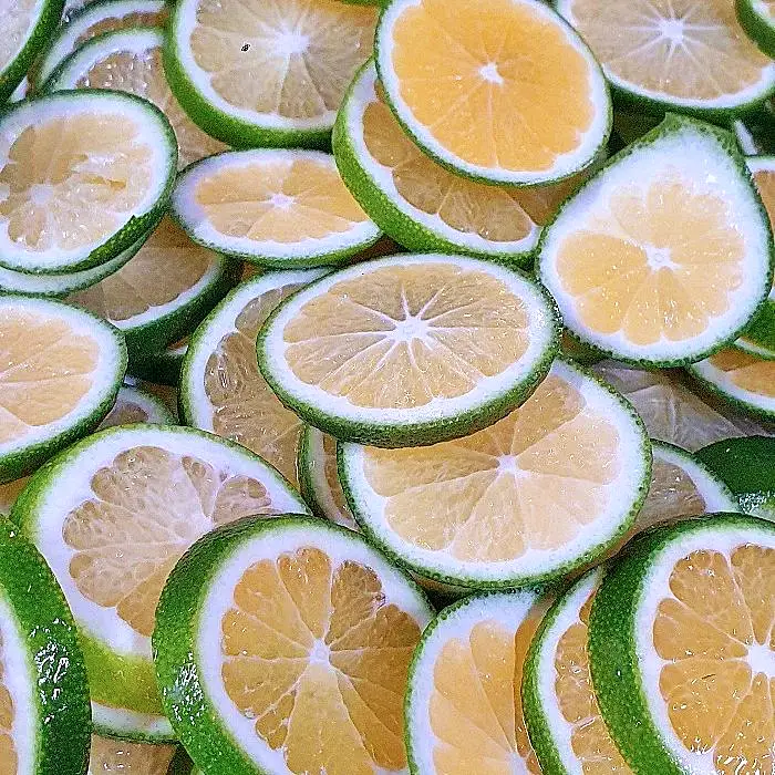 네모세모 원주 뮤지엄산 오크밸리 간현유원지 맛집 공연장 있는 크로와상 샌드위치 브런치 생크림 폭탄 카스테라 디저트 베이커리 맛있는 카페
