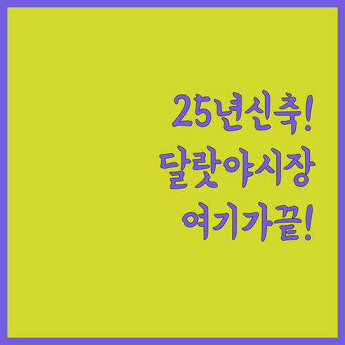 2025년 신축 달랏 숙소 리스트 야..