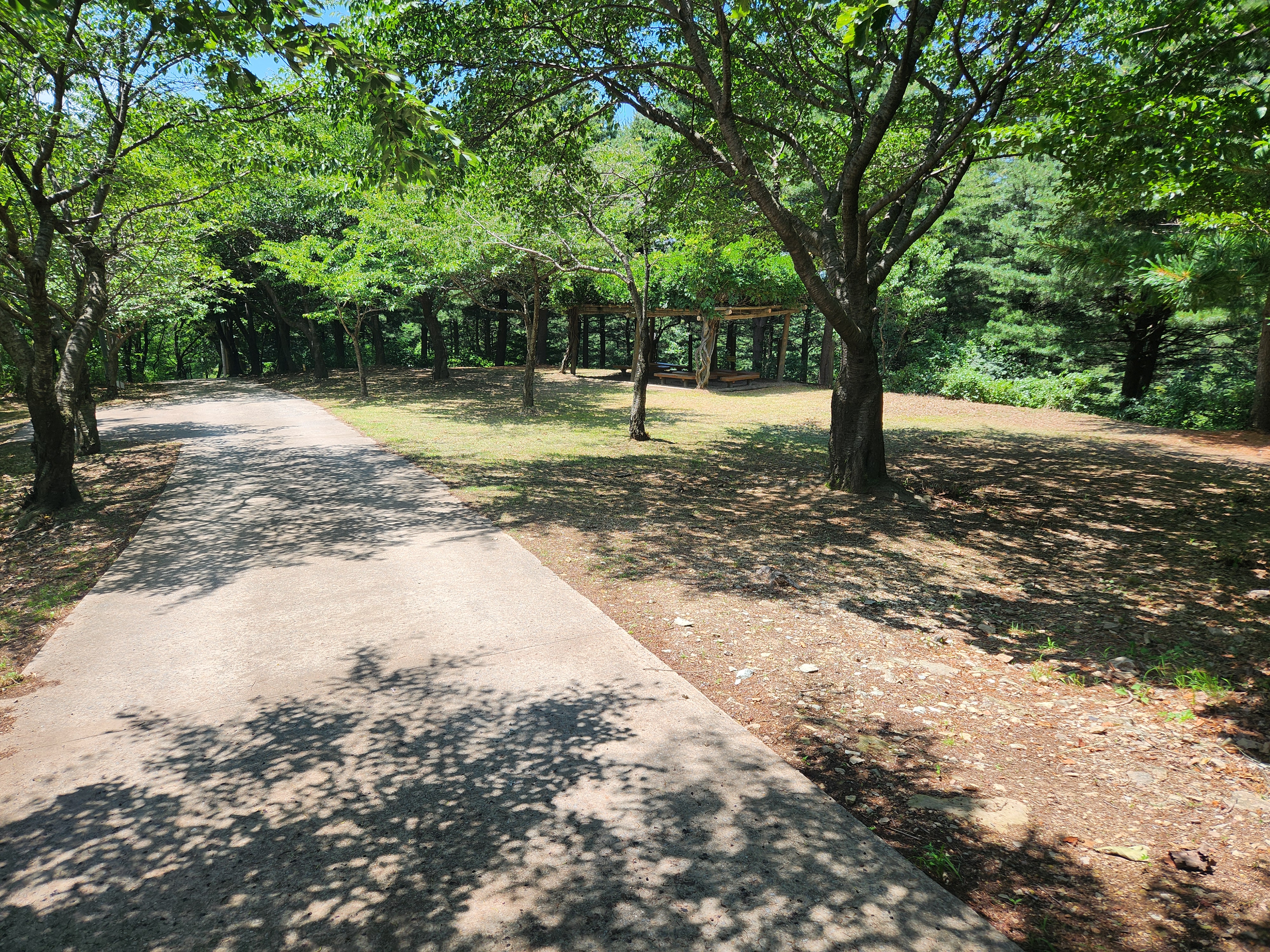 산성산 (72)