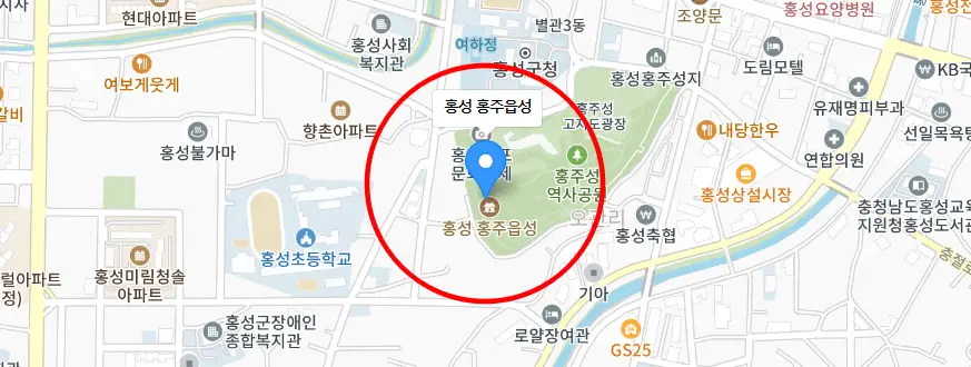 지도 사진