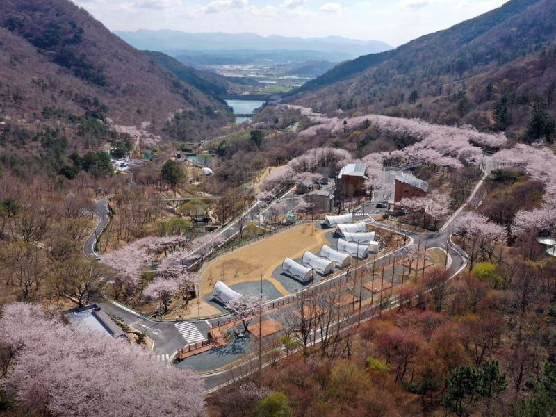 월아산 숲속의 진주
