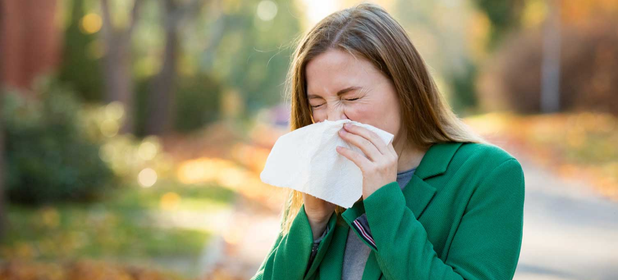 알레르기 비염 증세의 원인