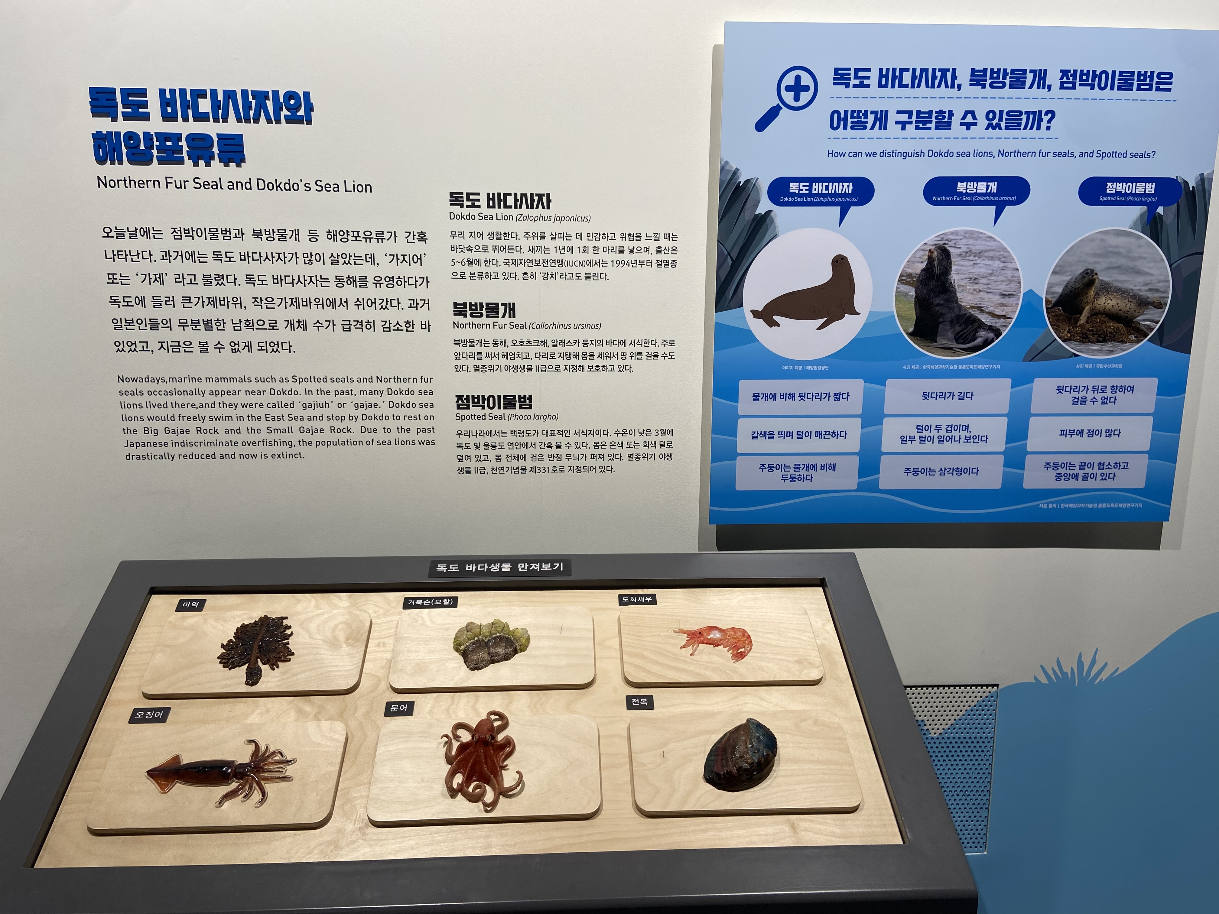 독도는 우리땅! 독도체험관