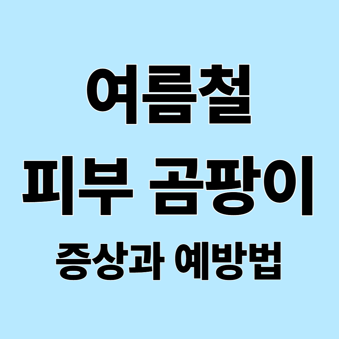 여름철 피부 곰팡이 질환, 무좀·완선·어루러기 원인과 예방법 총정리