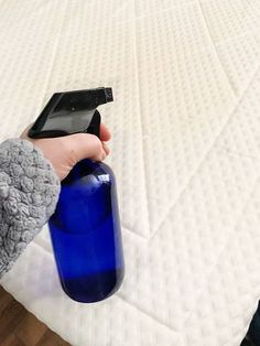 빈대 징점검리스트 신고센터