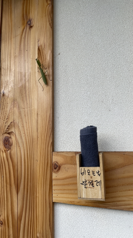 촌캉스