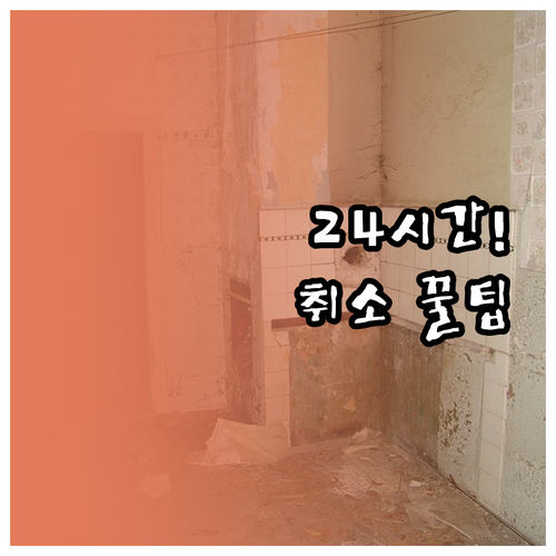 뱀부항공 24시간 무료 취소 조건과 ..