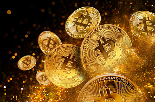 코인 불장에 대한 이미지