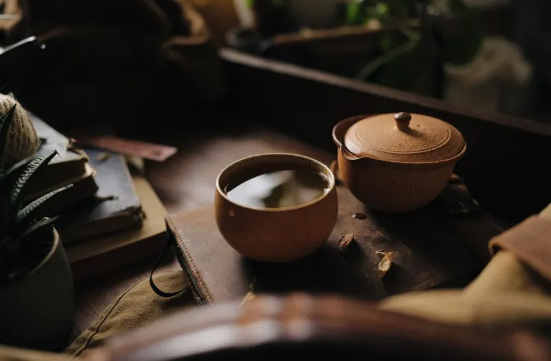 임신 중 마시면 좋은 차는?