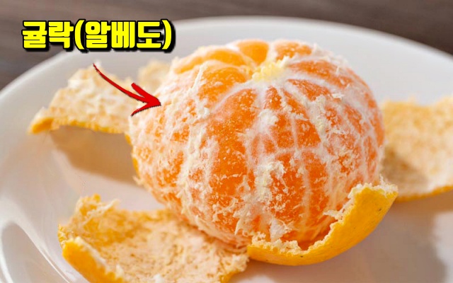 귤 하얀것 이름,귤락,팁줌