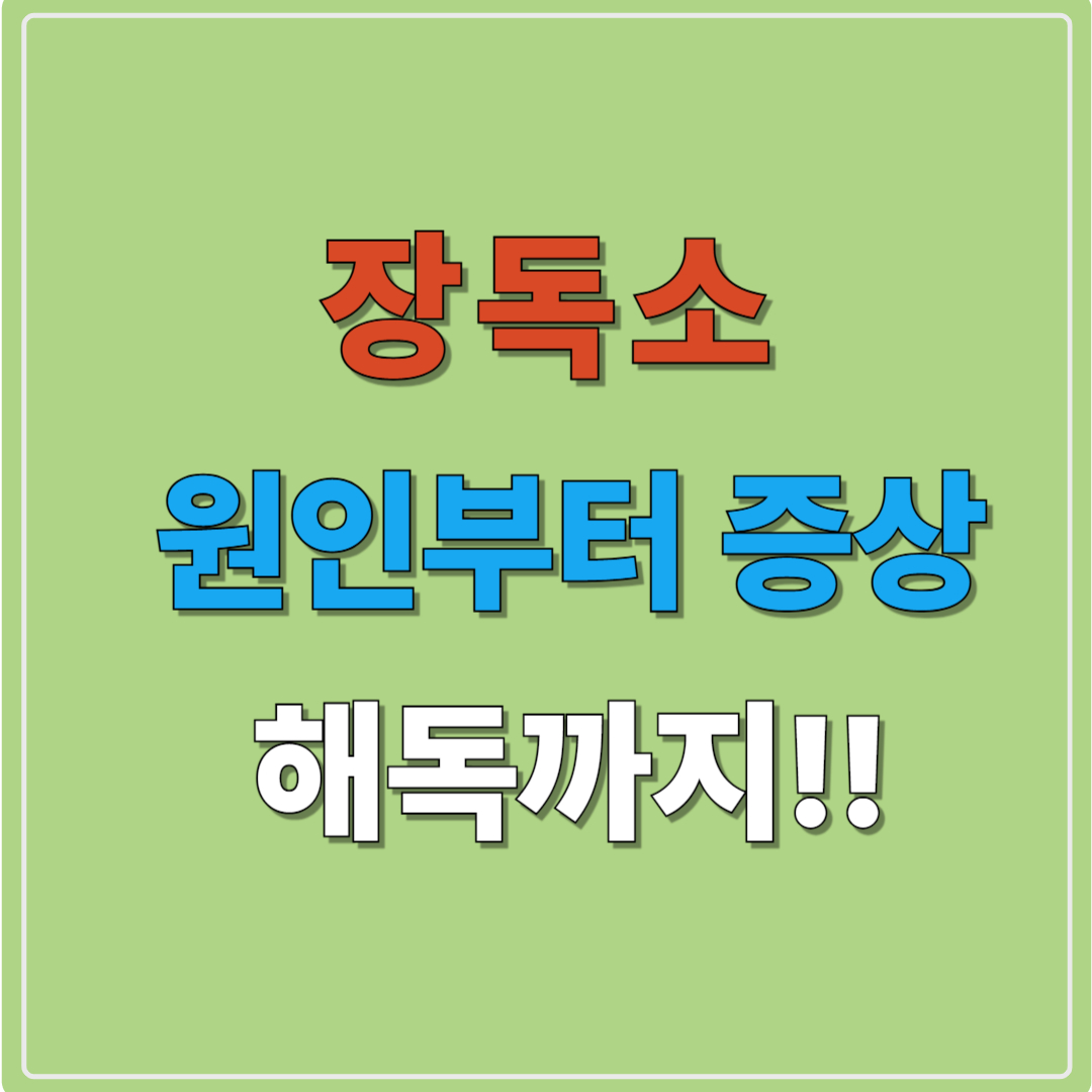 장독소 원인과 증상, 그리고 제거 방법까지 완벽 정리