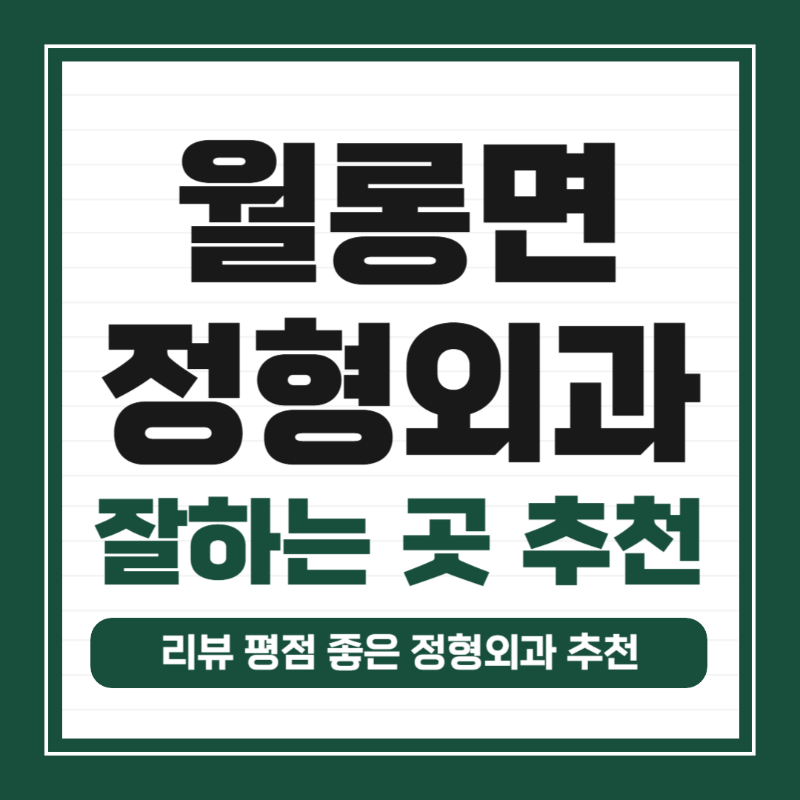 파주시 월롱면 정형외과 유명한 곳 잘하는 곳 추천 TOP 5