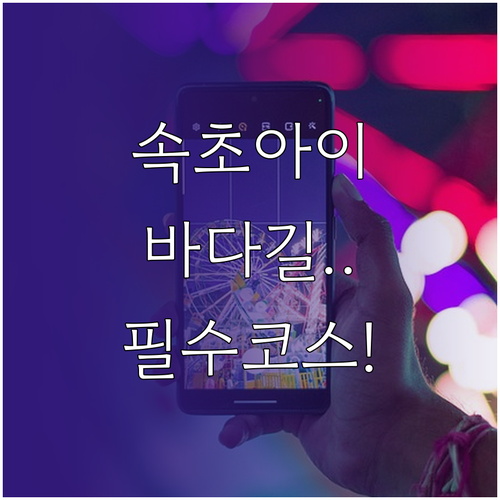 속초 여행 필수 코스 속초아이 대관람..