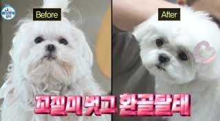 구성환 꽃분이 나이 프로필 사망 나혼산 국토대장정