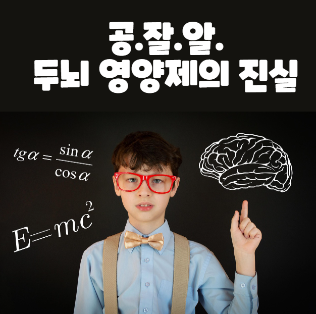 공잘알 두뇌 영양제의 진실