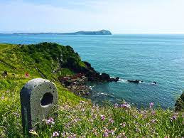 제주 관광지도 다운로드하고 우편으로 신청하는 방법 그리고 제주 여행지 추천