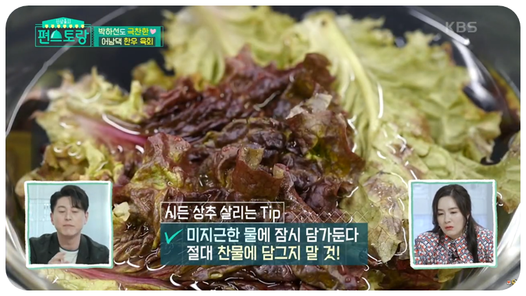 시든 상추는 미지근한 물에 잠시 담가둡니다