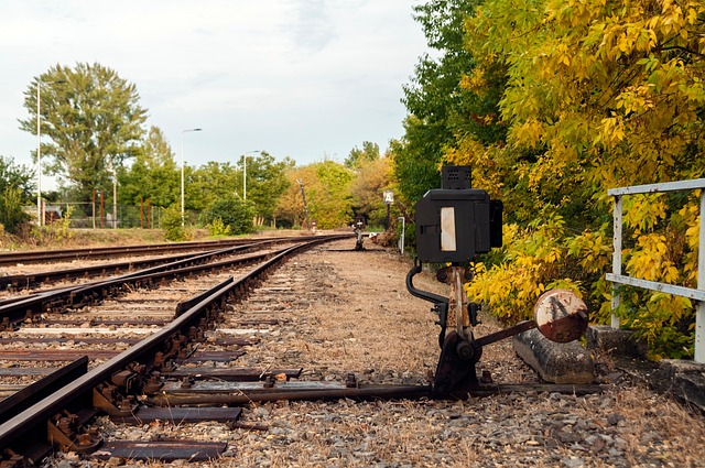 한국 방언의 음악적 리듬: 전라도와 경상도의 차이를 중심으로