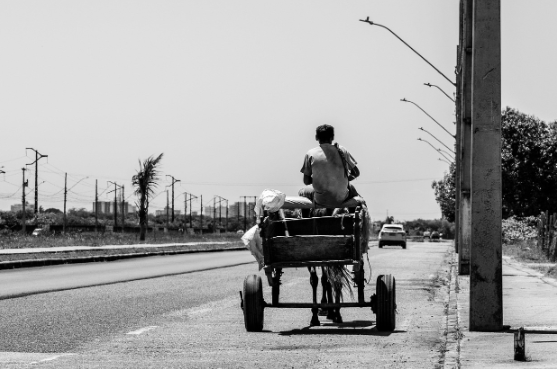 사라져 가는 직업의 기록: 한 시대를 담은 흔적들