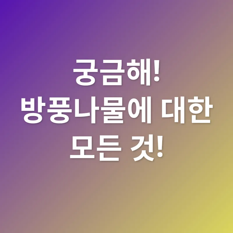 방풍나물 효능_4