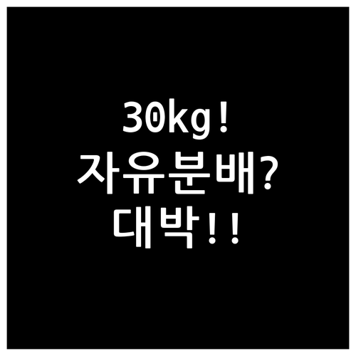 스리랑카항공 유럽 호주 노선, 총 3..