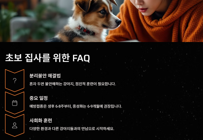 강아지 키우기: 초보견주를 위한 입분양부터 준비물 주의사항