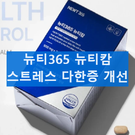 뉴티365 뉴티캄 내돈내산 후기 효능 성분 부작용 복용법 다한증 효과