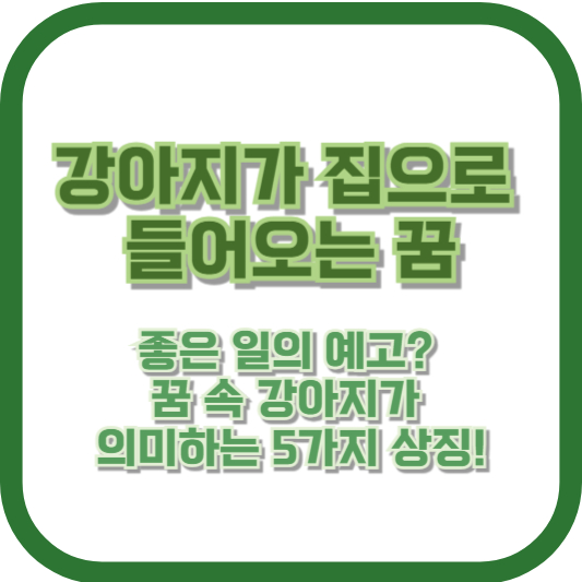 강아지가 집으로 들어오는 꿈, 좋은 일의 예고? 꿈 속 강아지가 의미하는 5가지 상징!