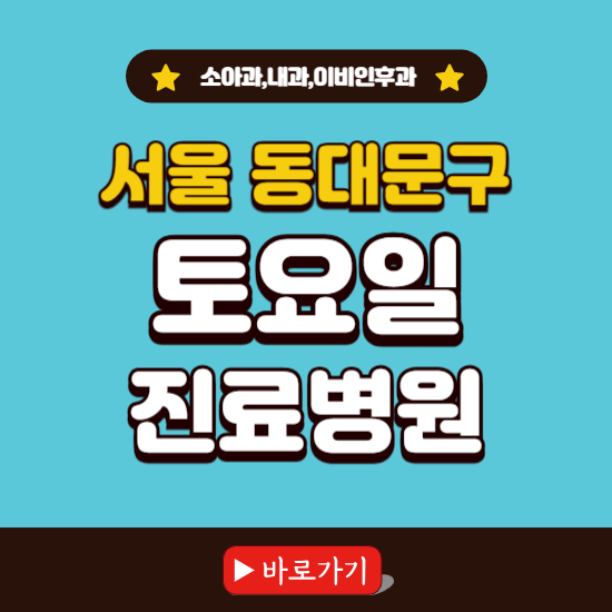서울 동대문구 토요일 진료 병원 찾기 ❘ 주말 문여는 소아과, 내과, 이비인후과 리스트