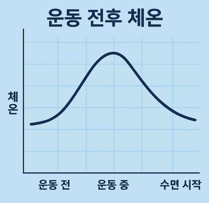 수면과 운동의 관계: 언제 운동해야 잠이 잘 올까?
