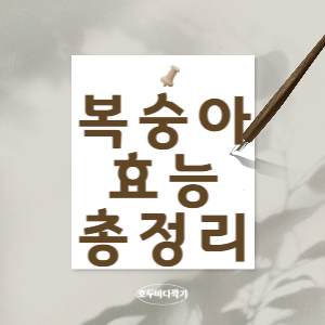 복숭아효능총정리